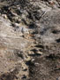 mud river.JPG